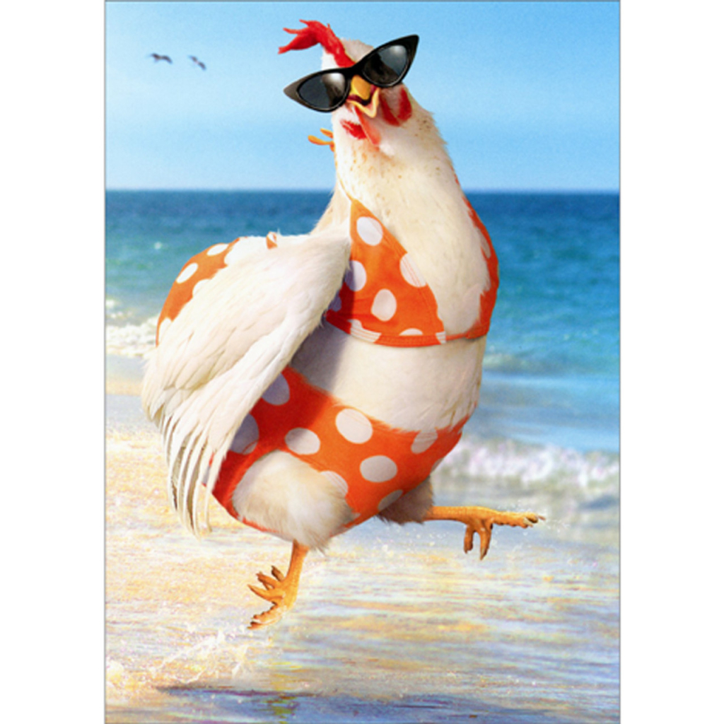 Logo for Chicken Jockettes