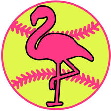 Logo for Bat Flippin' Flamingos