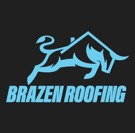 Logo for Brazen Roofing